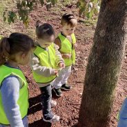 Outdoor Learning in Early Childhood – Kidscape