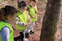 Outdoor Learning in Early Childhood – Kidscape