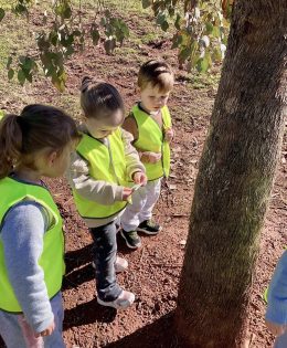 Outdoor Learning in Early Childhood – Kidscape