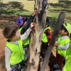 Spring Outdoor Learning for Kids | Nature Activities for Families