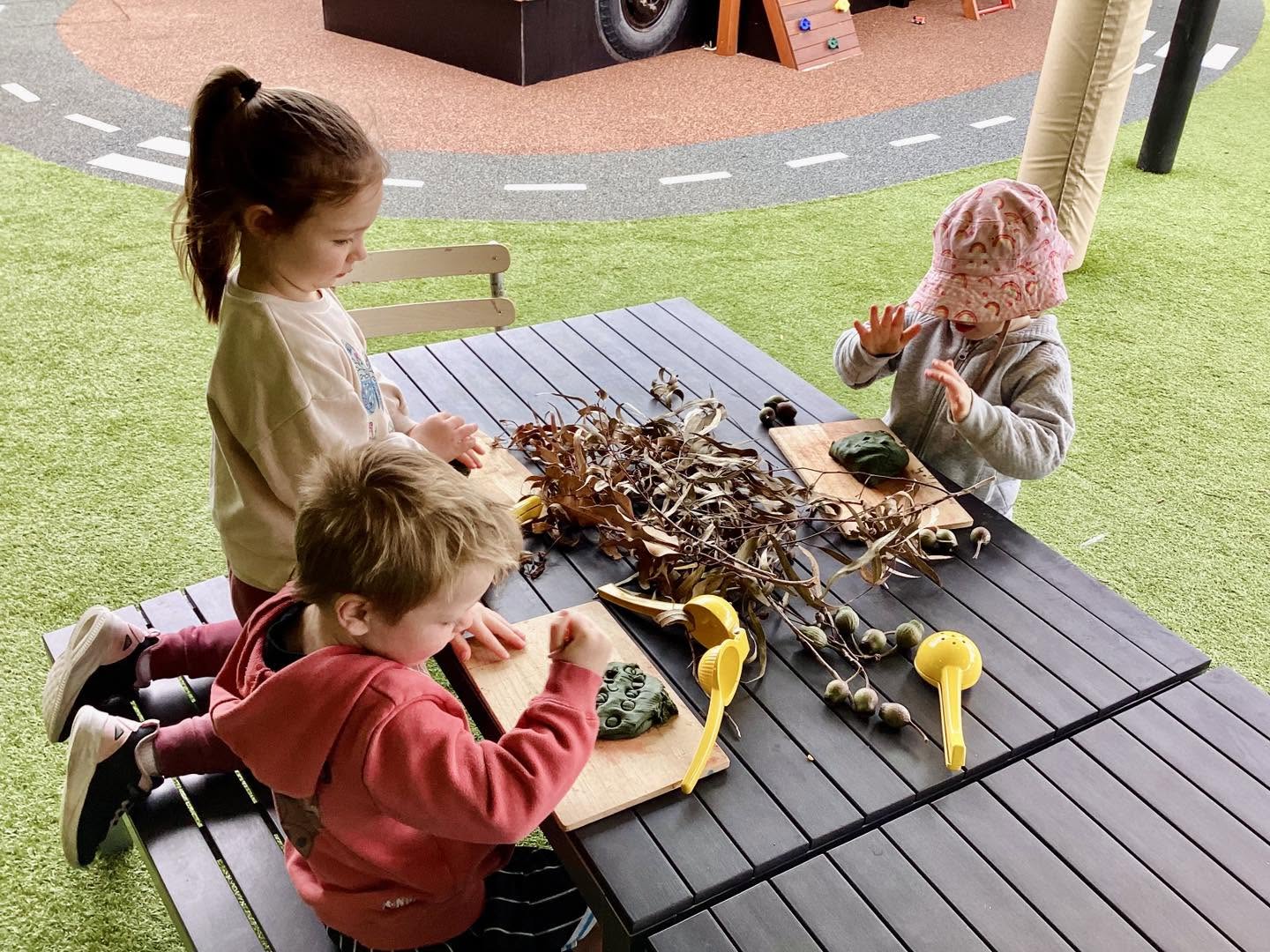 A vibrant garden perfect for children to explore and learn about nature