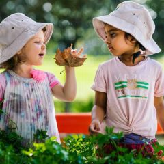 Why the First Five Years Are Critical for Child Development