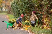 Nature Play for Children: Benefits of Outdoor Learning in Childcare