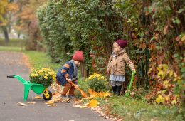 Nature Play for Children: Benefits of Outdoor Learning in Childcare